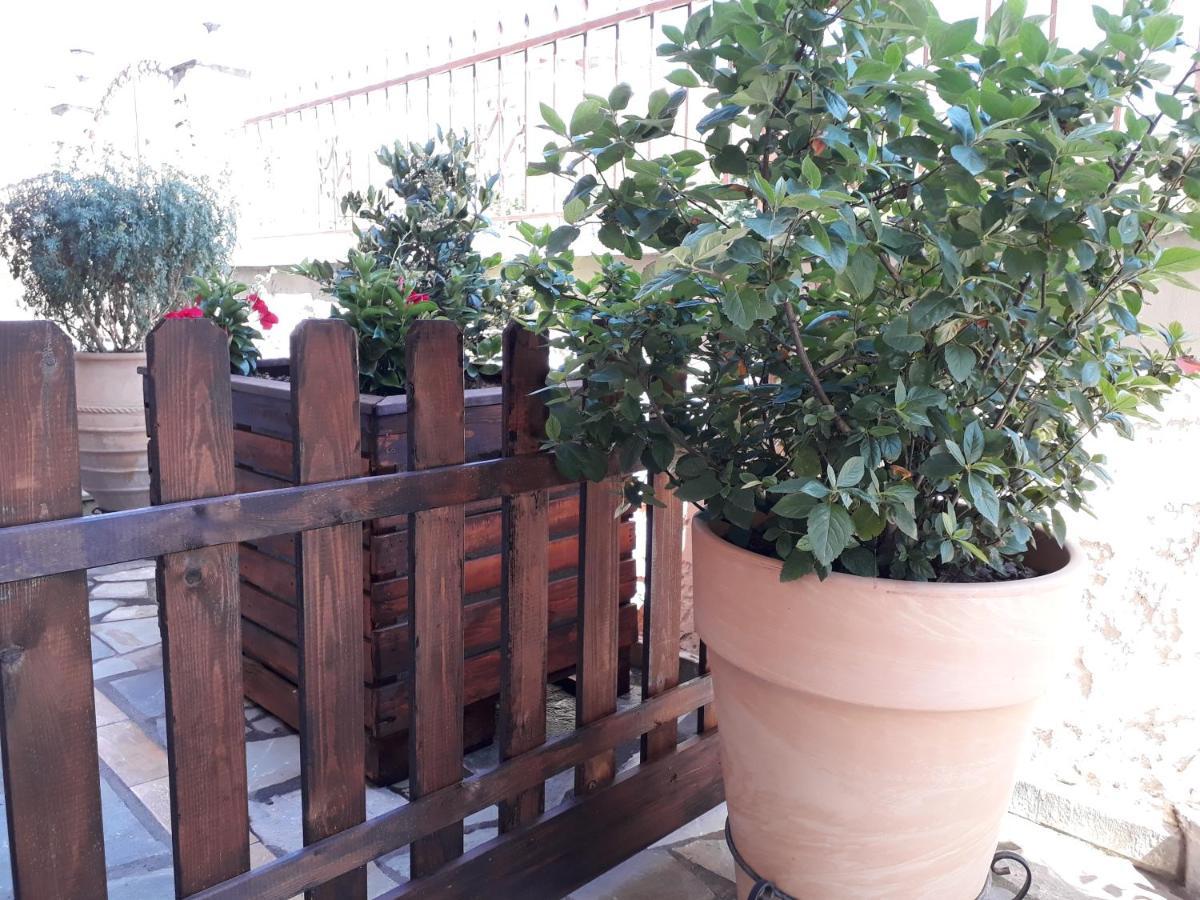 Ferienwohnung Olympus Vacation Paradise Litochoro Exterior foto